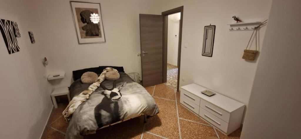 Migu Point Intero Appartamento Pisa Buitenkant foto